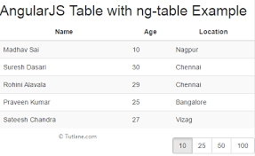 AngularJS Tables